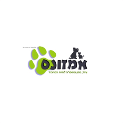 לוגו-אמזונס